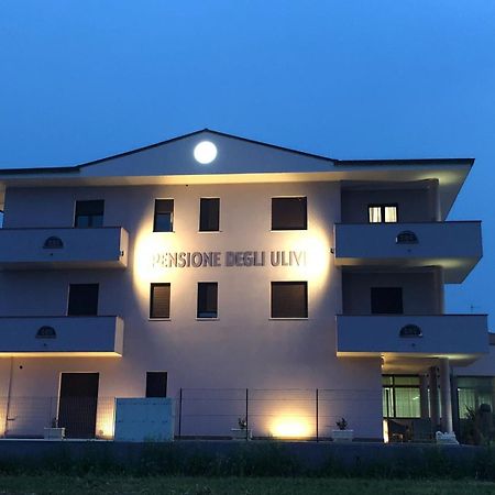 Pensione Degli Ulivi Порто-Сант'Эльпидио Экстерьер фото