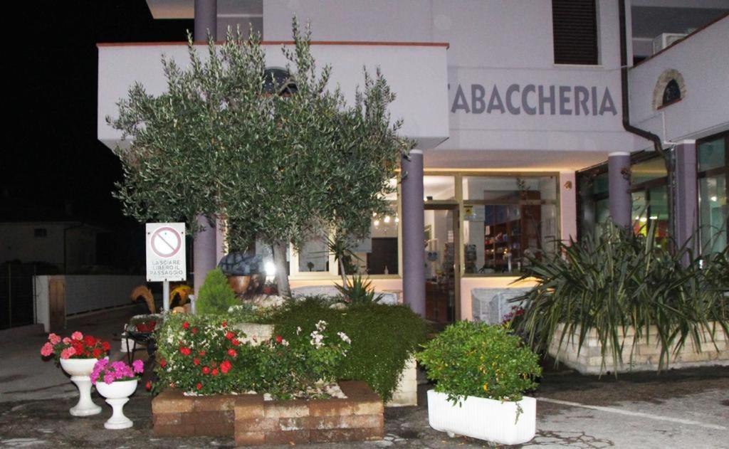 Pensione Degli Ulivi Порто-Сант'Эльпидио Экстерьер фото